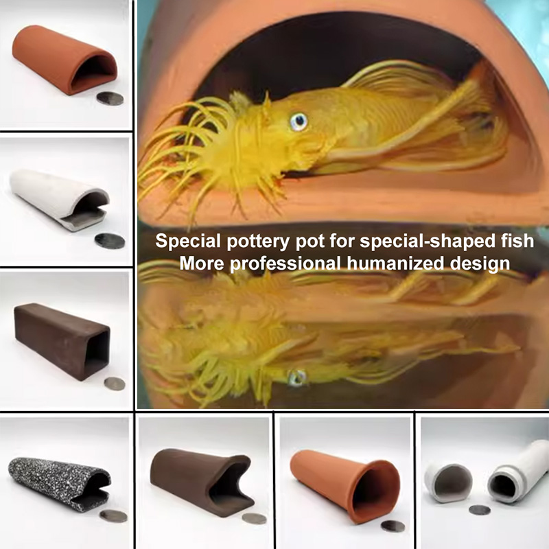 Marine Aquarium For Sale - For Fish Shrimp Fish Tank Decoration