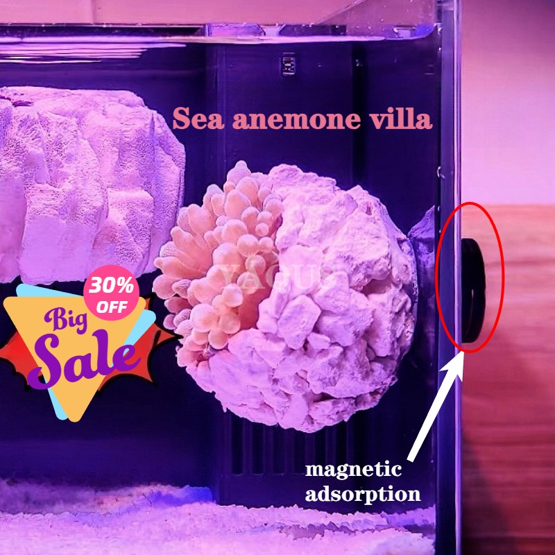 Marine Aquarium For Sale - New DIY Handmade Floating Magnetic Sunflower