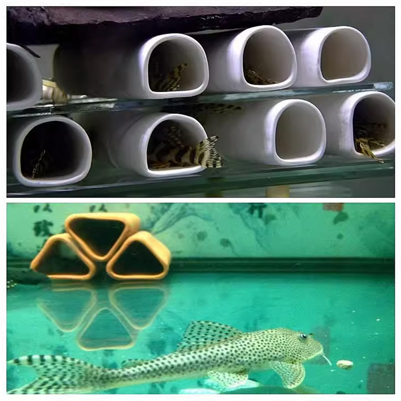 For Fish Shrimp Fish Tank Deco - огляд і ціна Marine Aquarium For Sale