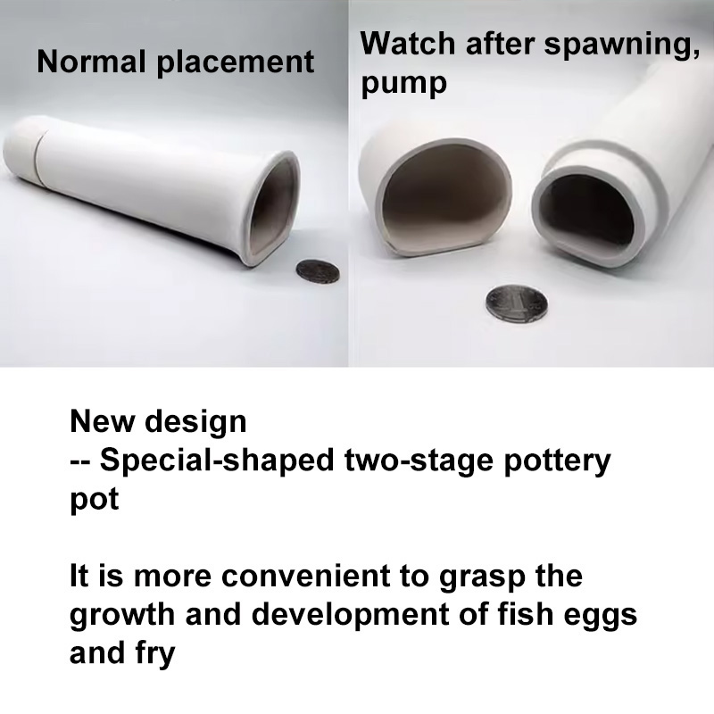 For Fish Shrimp Fish Tank Deco - огляд і ціна Marine Aquarium For Sale