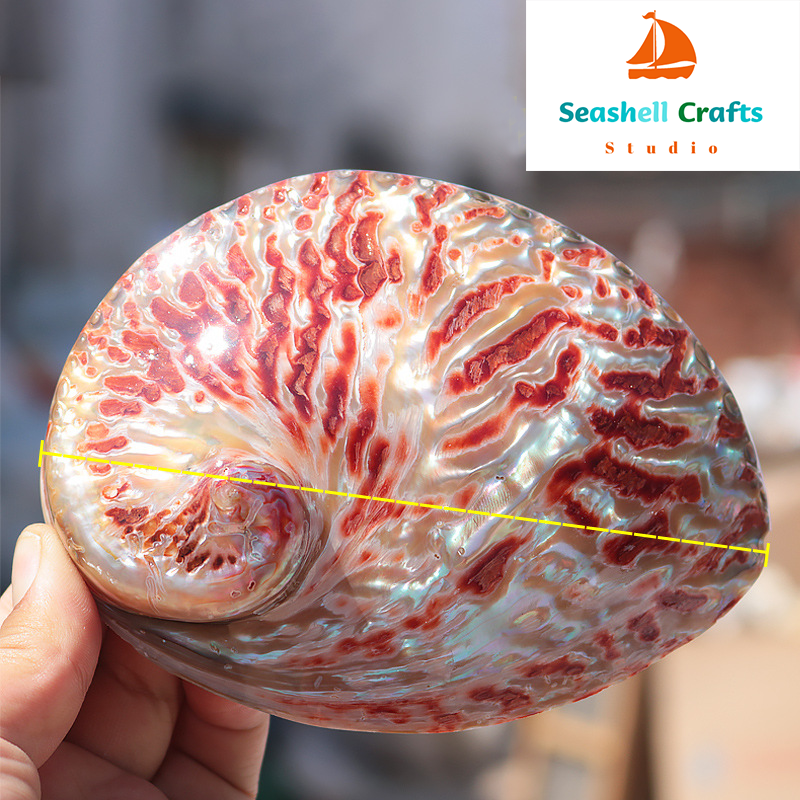 Home Decoration Red Pattern Ab - огляд і ціна Marine Aquarium For Sale