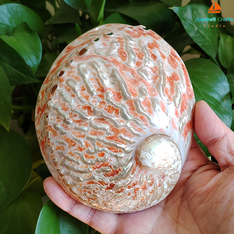 Home Decoration Red Pattern Ab - огляд і ціна Marine Aquarium For Sale