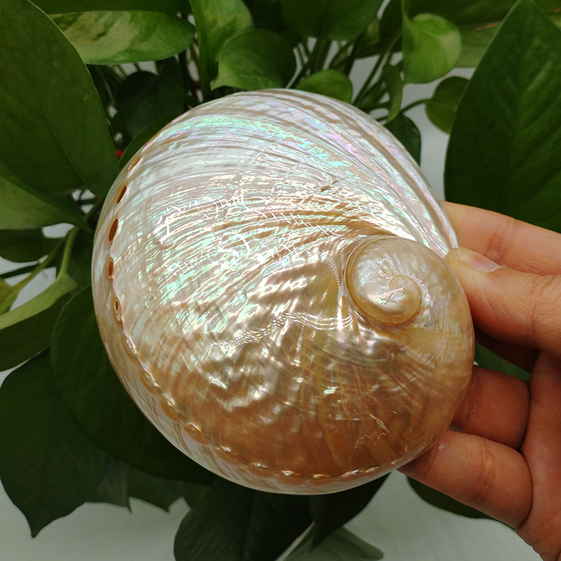 Home Decoration Red Pattern Ab - огляд і ціна Marine Aquarium For Sale