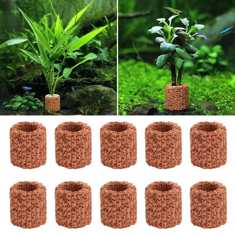 Aquatic Plant Fixed Ring for A - огляд і ціна Marine Aquarium For Sale