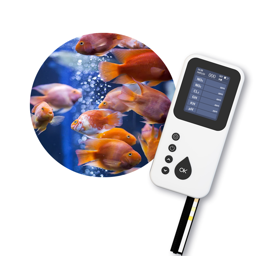 Portable TS-1000 Digital Water - огляд і ціна Aquarium & Marine Museum Universiti Malaysia Sabah Kota Kinabalu Sabah Reviews