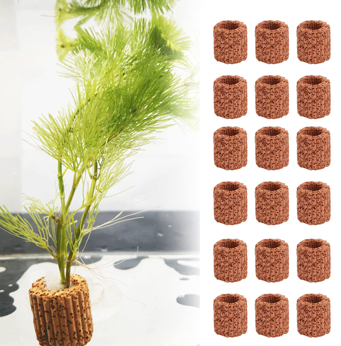 10/20Pcs Aquatic Water Plant F - огляд і ціна Marine Aquarium For Sale