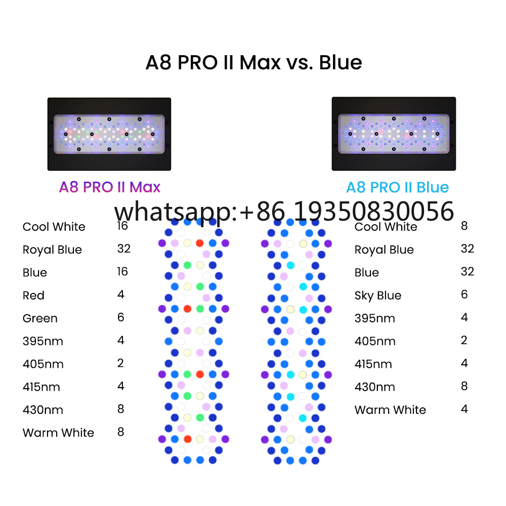 2026-A8 PRO II Max and Blue 24 - огляд і ціна Aquarium & Marine Museum Universiti Malaysia Sabah Kota Kinabalu Sabah Reviews