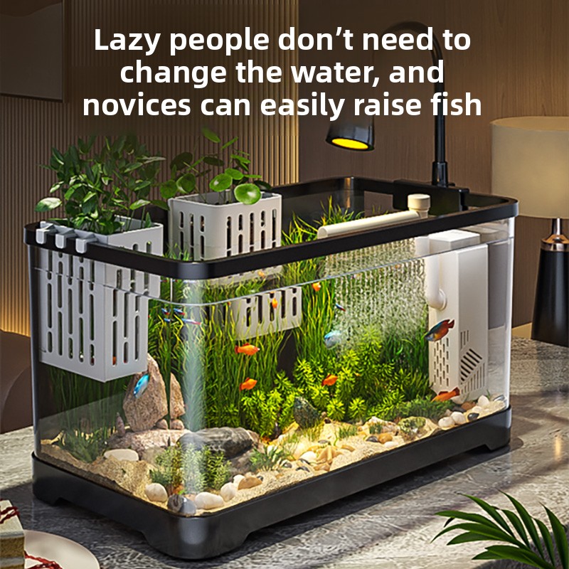 2026 All-in-One Aquarium Filte - огляд і ціна Marine Aquarium Live