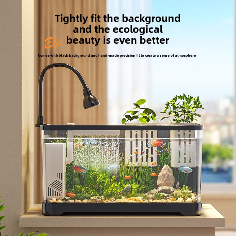 2026 All-in-One Aquarium Filte - огляд і ціна Marine Aquarium Live