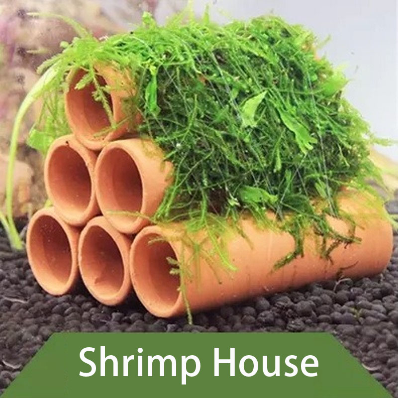 Clay Aquarium Decoration Fish  - огляд і ціна Marine Aquarium For Sale