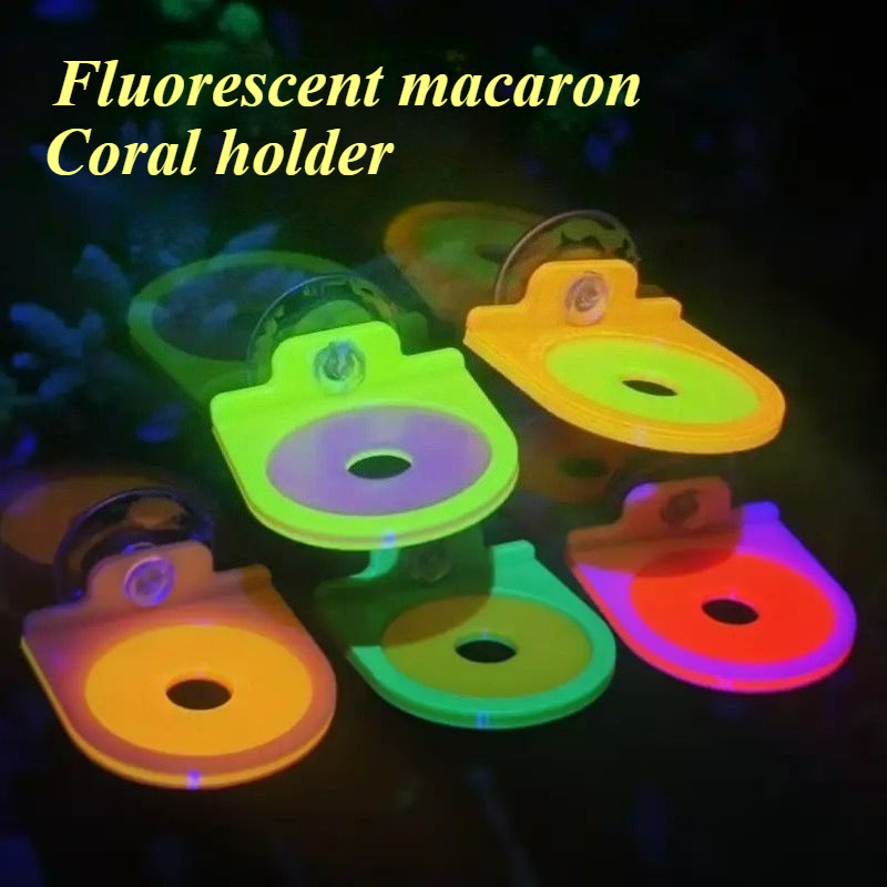 Color Random Coral Frag Holder - огляд і ціна Marine Aquarium Live