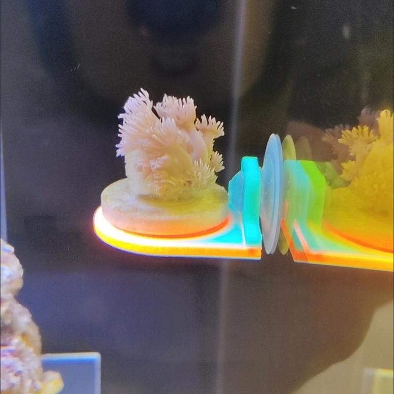 Color Random Coral Frag Holder - огляд і ціна Marine Aquarium Live