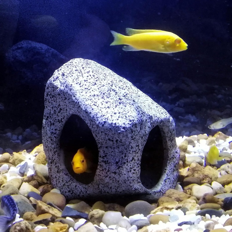 Fish Tank Cave Stone Landscapi - огляд і ціна Marine Aquarium For Sale