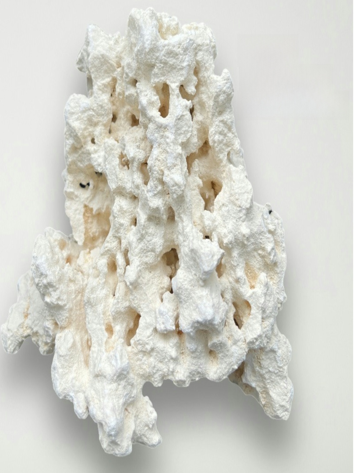 Kilago Dry Rock Natural Coral  - огляд і ціна Marine Aquarium Live