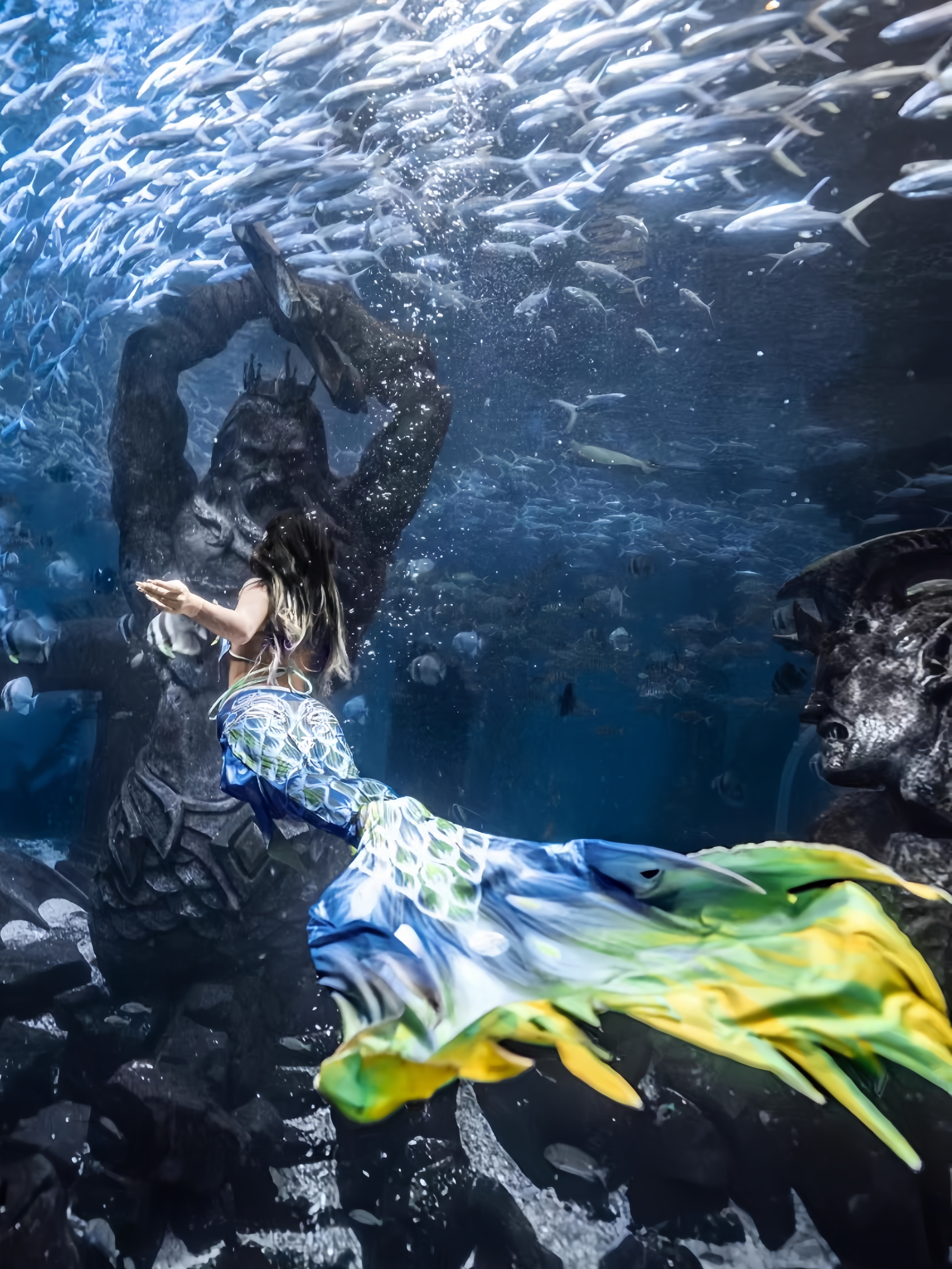 Mermaid Tail Adult Ladies Swim - огляд і ціна Aquarium & Marine Museum Universiti Malaysia Sabah Kota Kinabalu Sabah Reviews