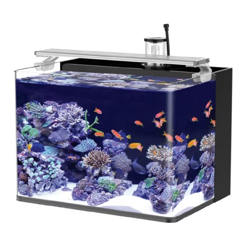 Table Curved Saltwater Marine  - огляд і ціна Marine Aquarium Live
