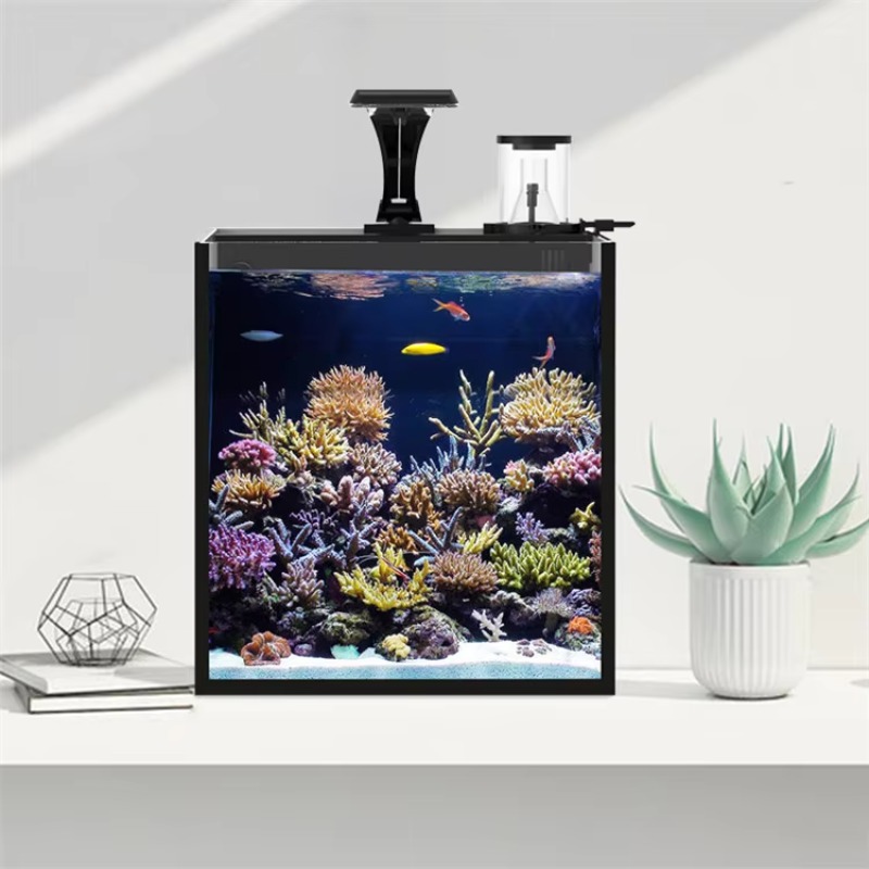Table Curved Saltwater Marine  - огляд і ціна Marine Aquarium Live